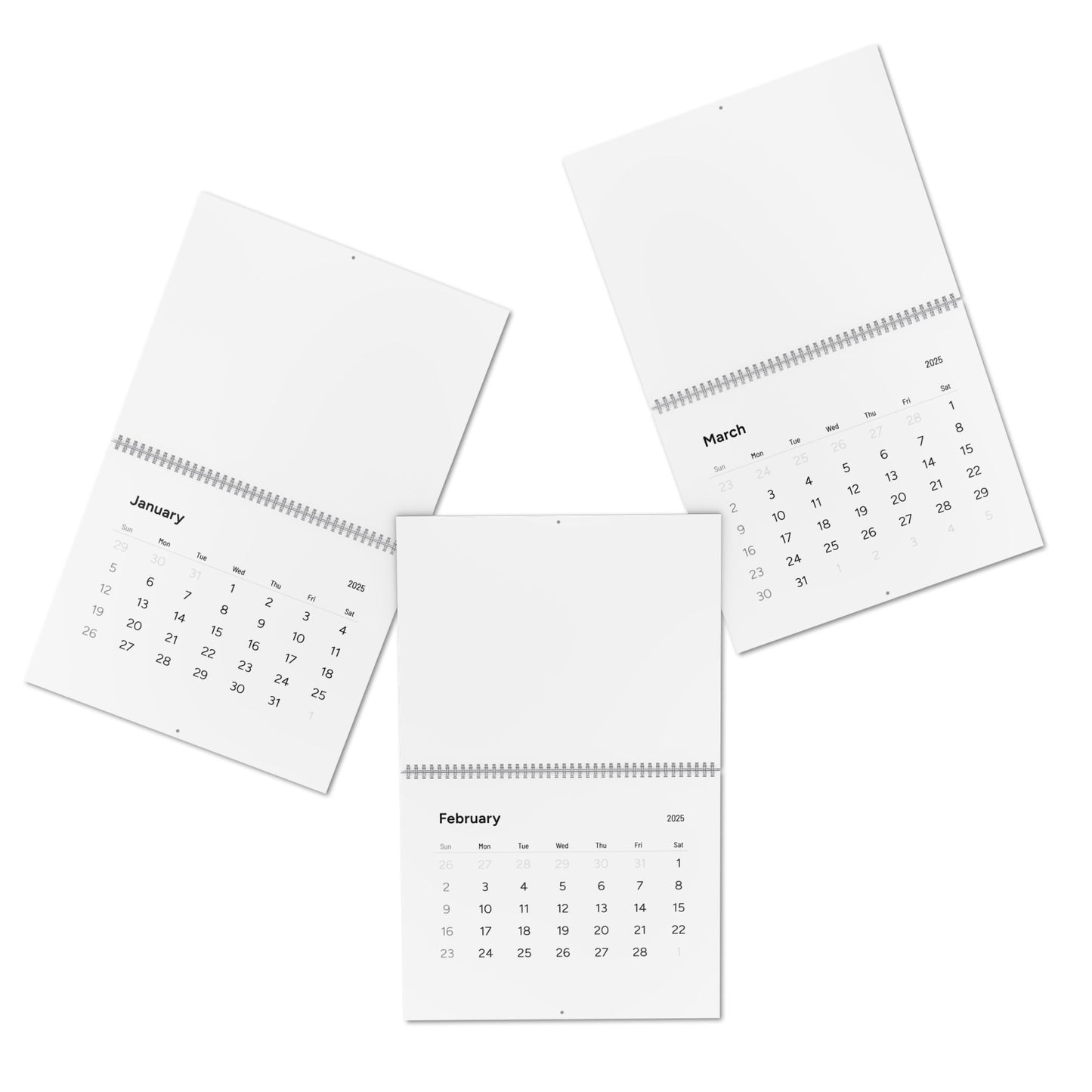 Standard Wall Calendar (2025)