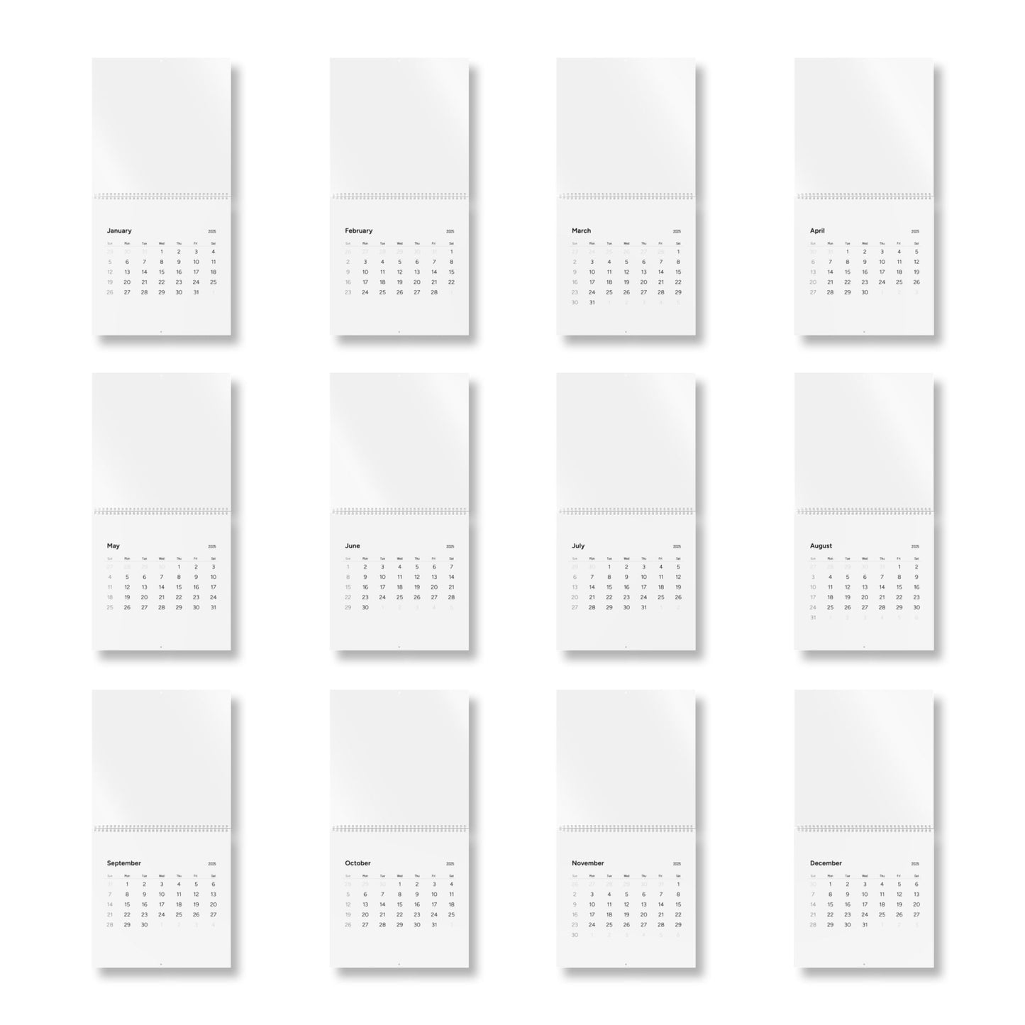 Standard Wall Calendar (2025)