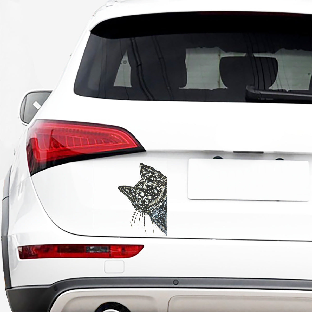 Car Stickers
