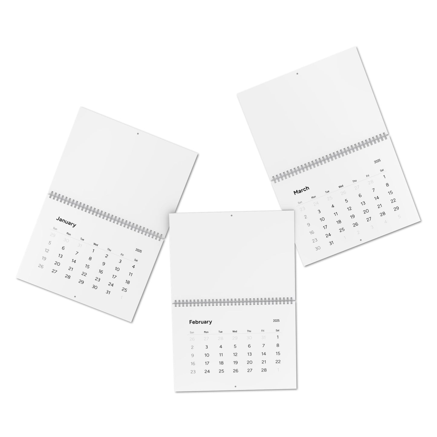 Standard Wall Calendar (2025)