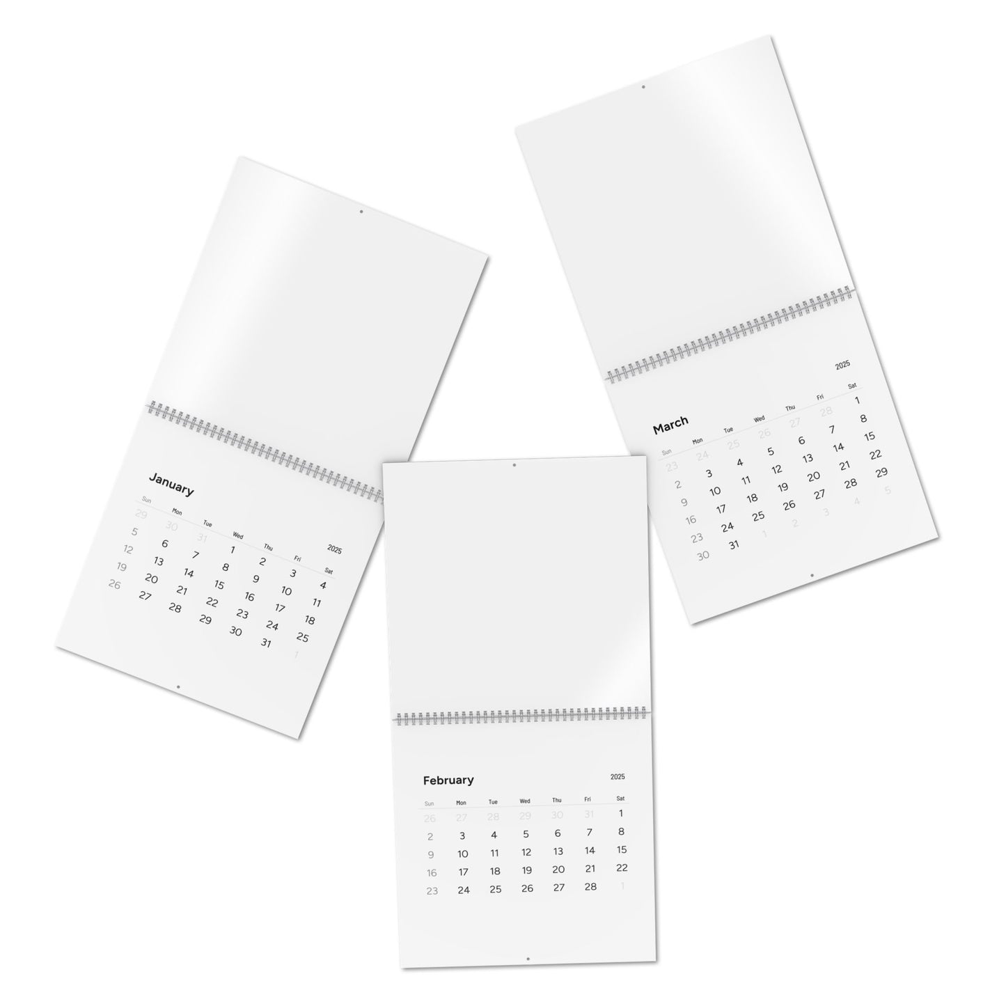 Standard Wall Calendar (2025)