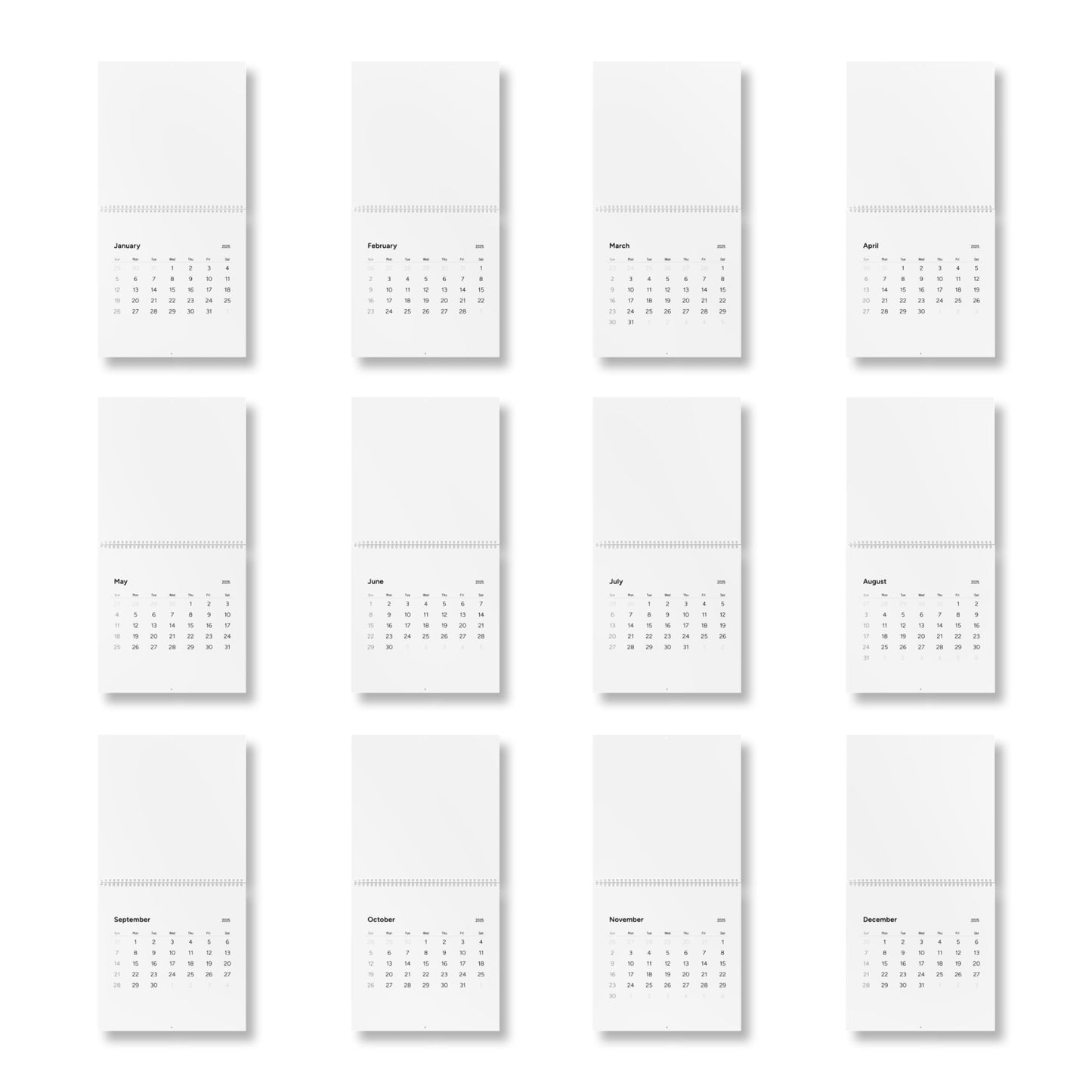 Standard Wall Calendar (2025)