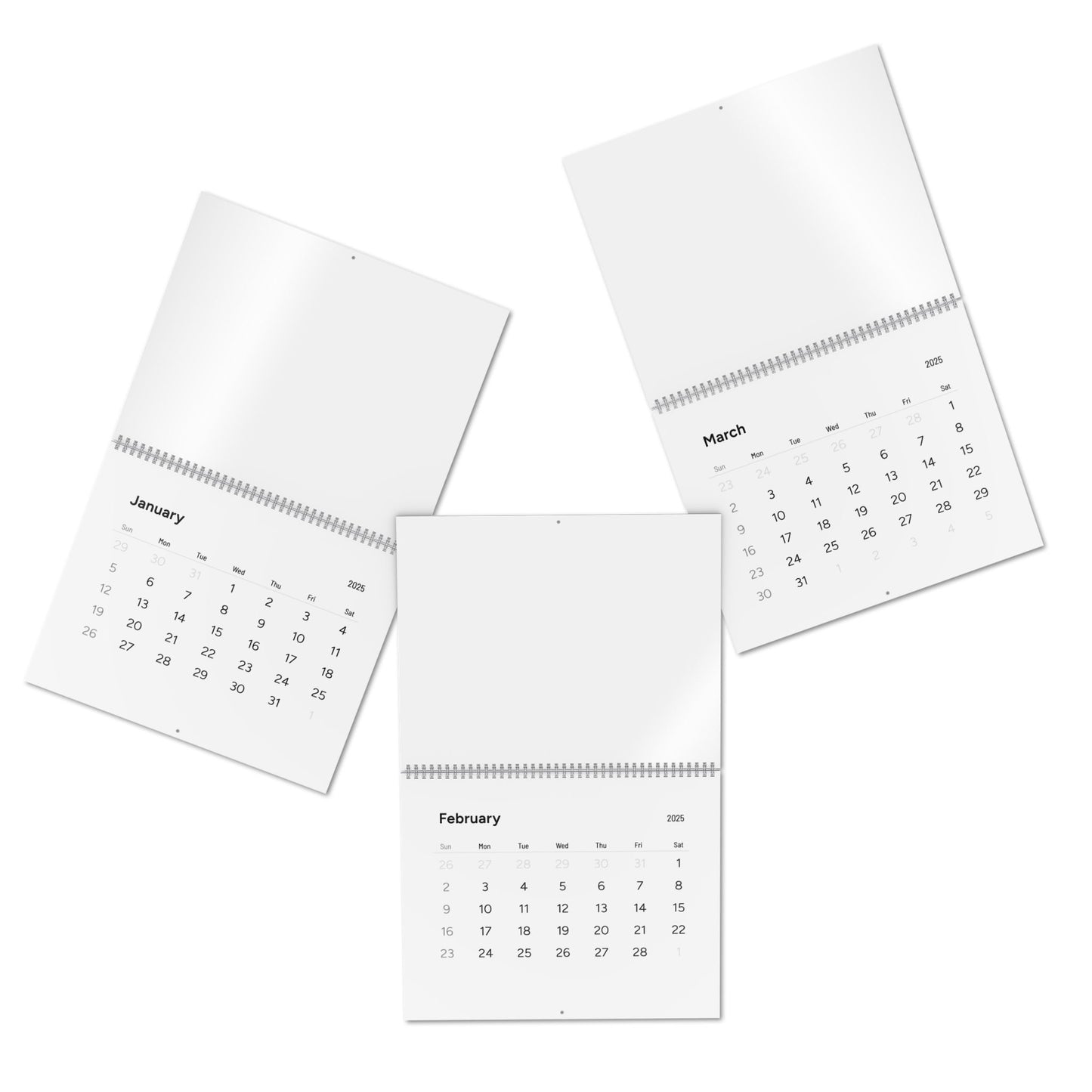 Standard Wall Calendar (2025)