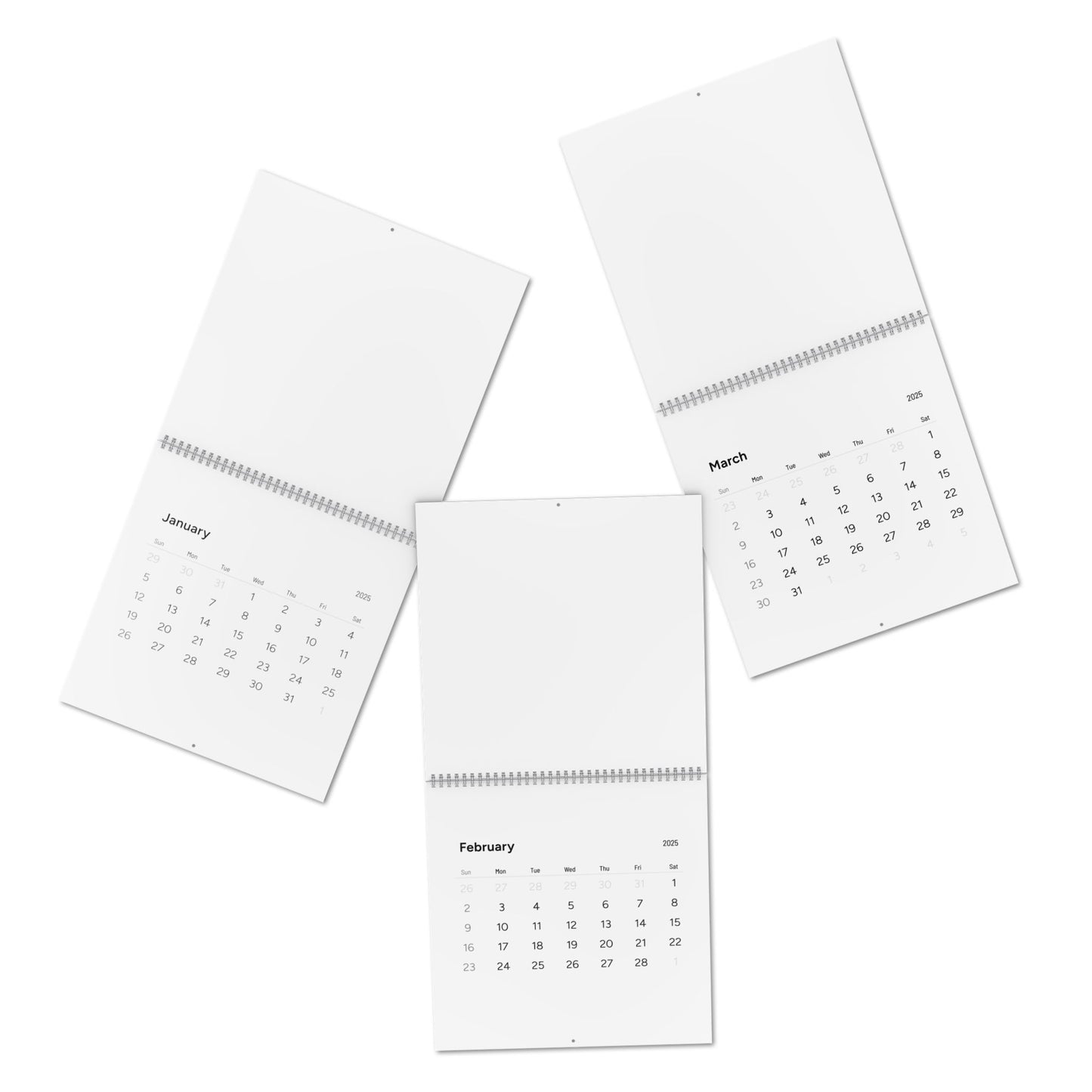 Standard Wall Calendar (2025)