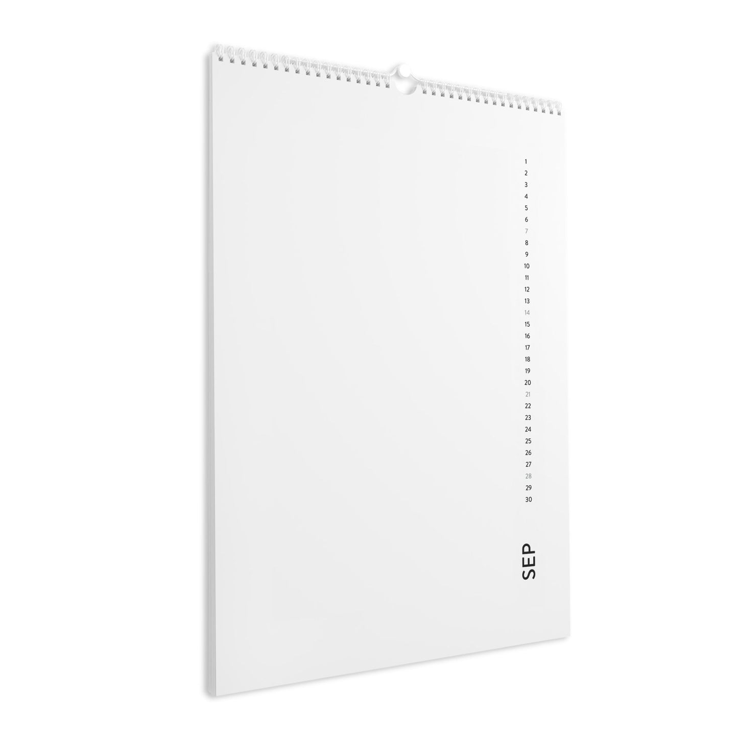 Wall Calendar (2025)