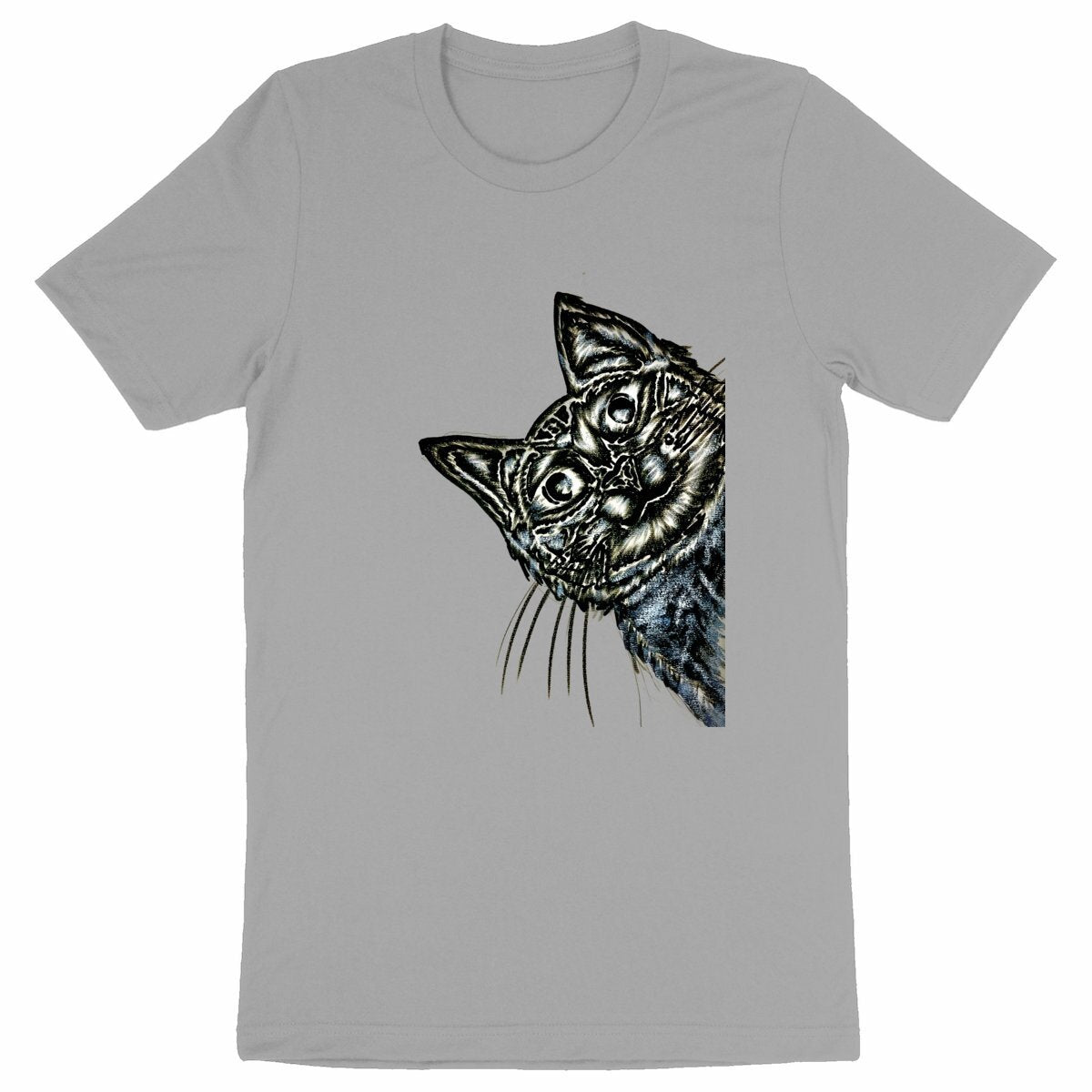 Heavyweight Unisex t-shirt - Premium Plus