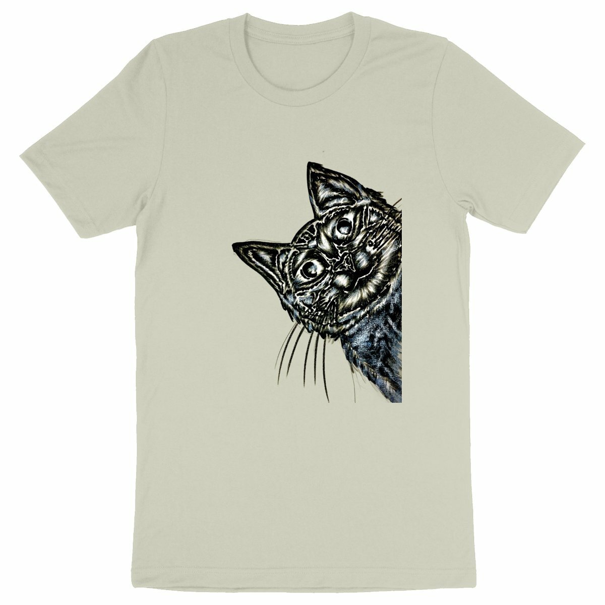 Heavyweight Unisex t-shirt - Premium Plus