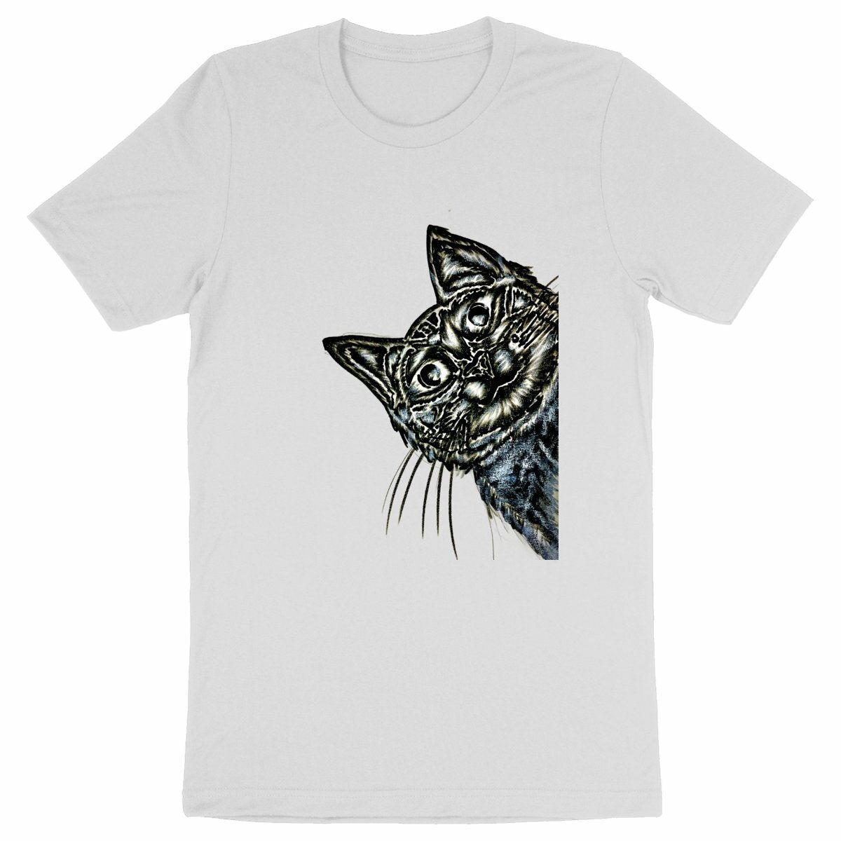 Heavyweight Unisex t-shirt - Premium Plus
