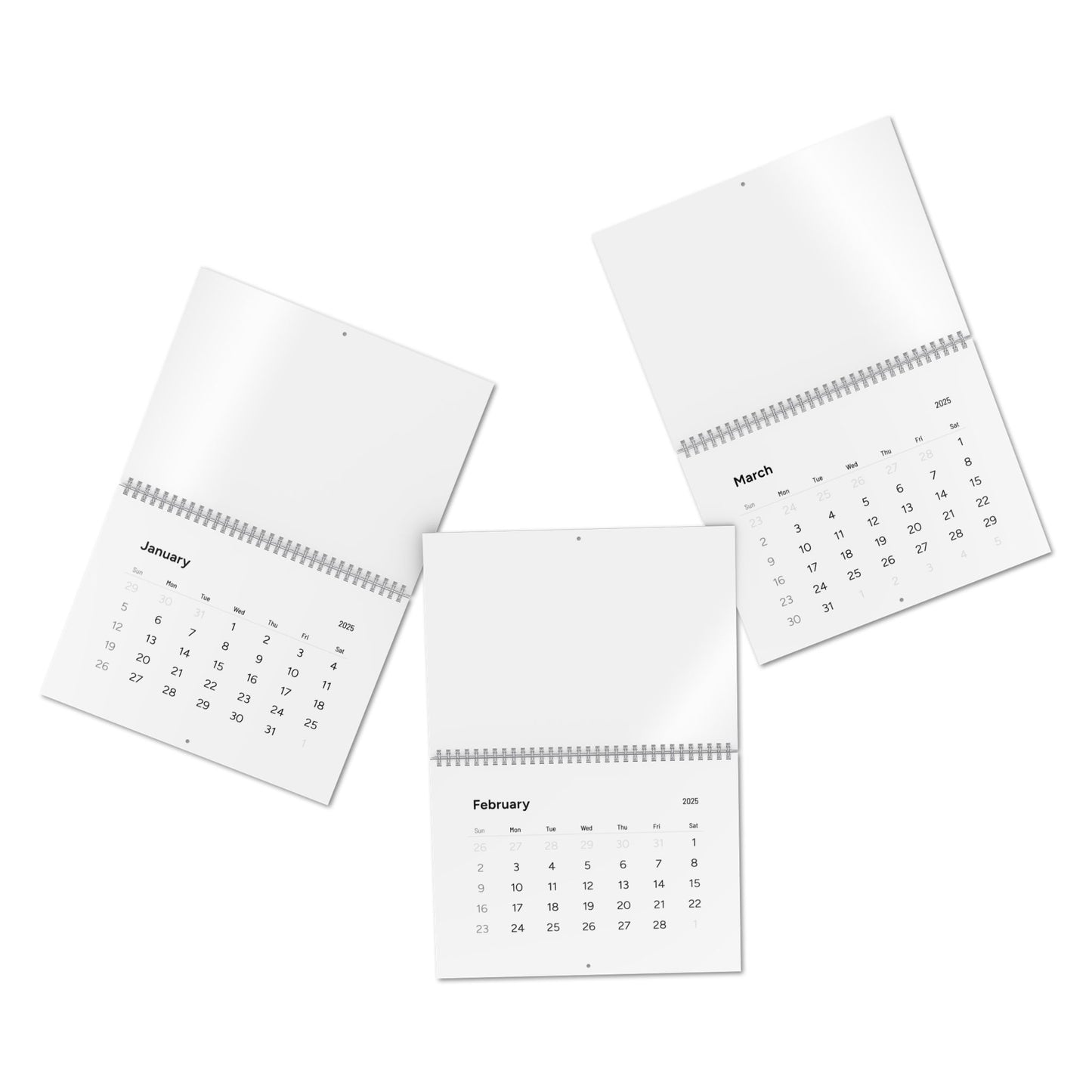 Standard Wall Calendar (2025)