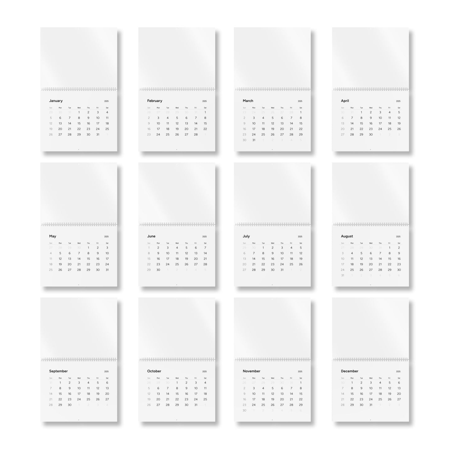 Standard Wall Calendar (2025)