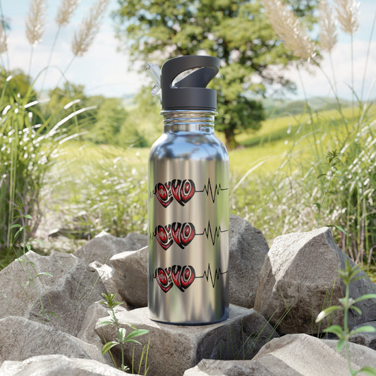 Stainless Steel Water Bottle With Straw, 20oz