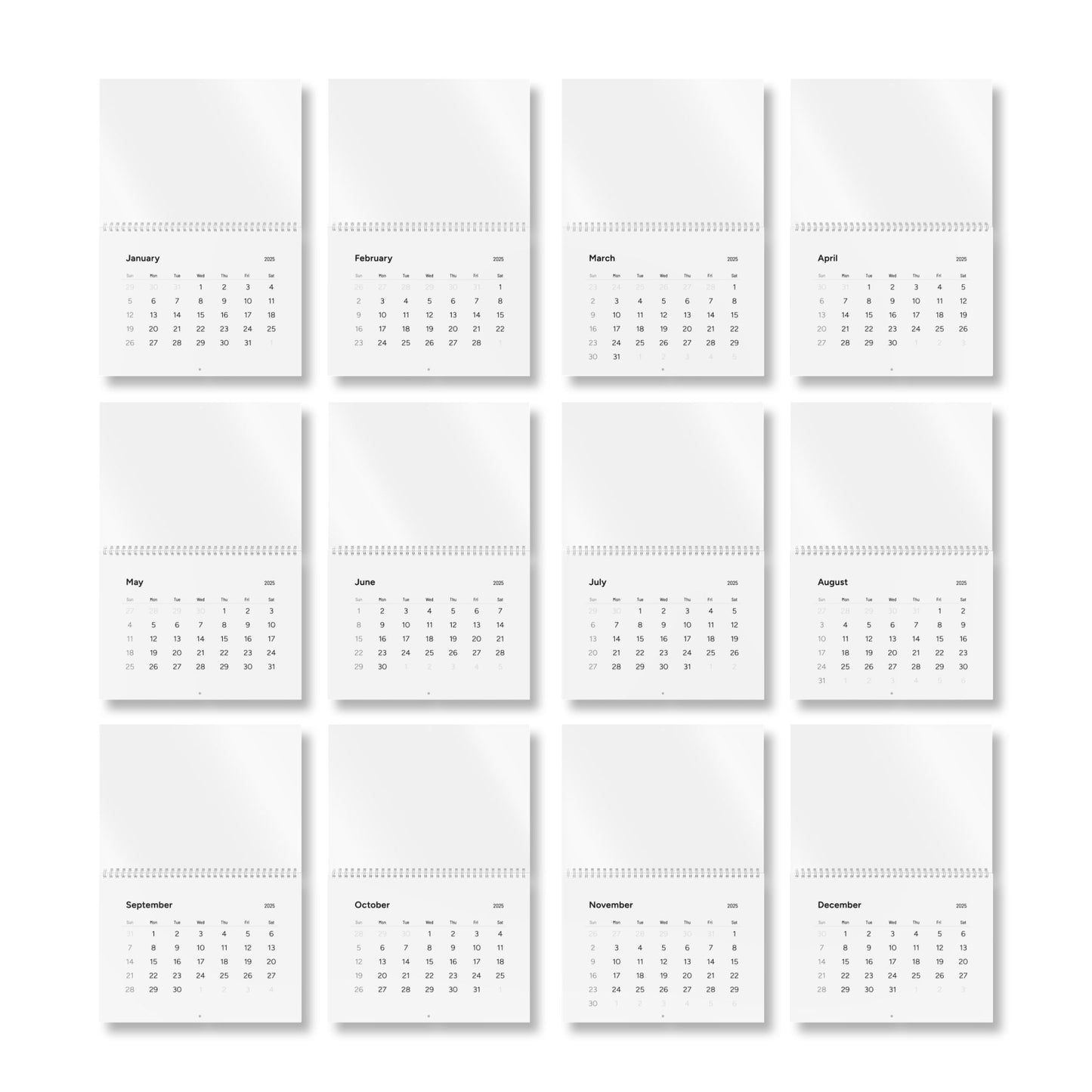 Standard Wall Calendar (2025)