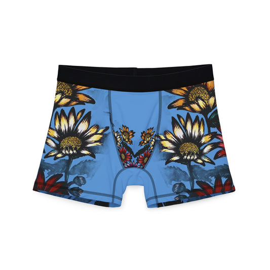 Men's Boxers (AOP)