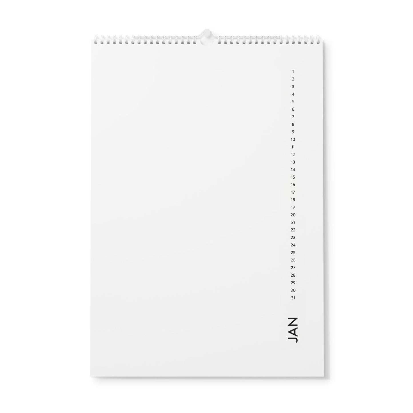 Wall Calendar (2025)
