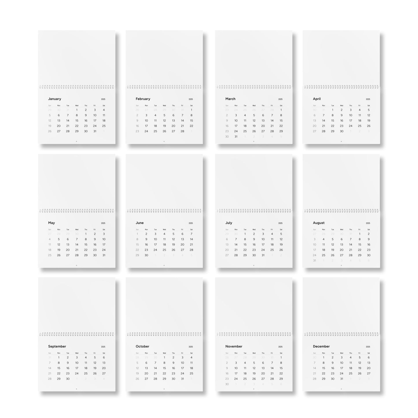 Standard Wall Calendar (2025)